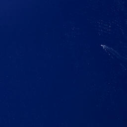 Satellite imagery of Opito Point, NZ