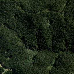 Satellite imagery of A NO 2, NZ