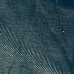 Satellite imagery of South Point, NZ