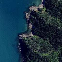 Satellite imagery of Whawenga Point, NZ