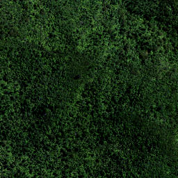 Satellite imagery of 4071, NZ