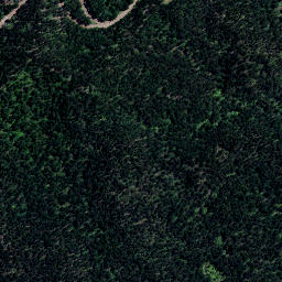 Satellite imagery of NN (Coromandel SD), NZ