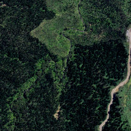 Satellite imagery of NN (Coromandel SD), NZ