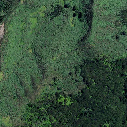 Satellite imagery of NN (Coromandel SD), NZ