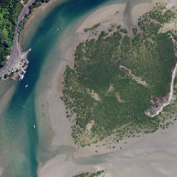 Satellite imagery of Te Rehutae Point, NZ