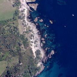 Satellite imagery of Opito Point, NZ