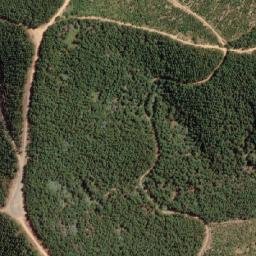 Satellite imagery of Wallaby Hill, AU