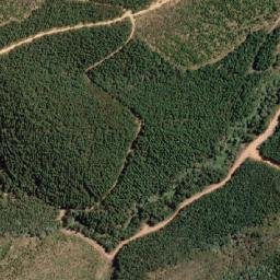 Satellite imagery of Wallaby Hill, AU