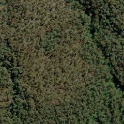 Satellite imagery of Bogong Hill, AU