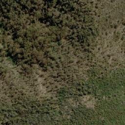Satellite imagery of Little Mount Bogong, AU
