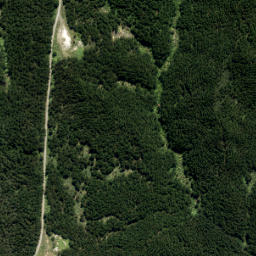 Satellite imagery of A NO 2, NZ