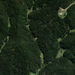 Satellite imagery of A NO 2, NZ