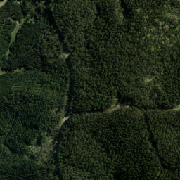 Satellite imagery of A NO 2, NZ