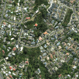 Satellite imagery of 11 NO 2, NZ