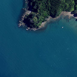 Satellite imagery of Whawenga Point, NZ