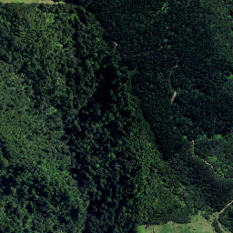 Satellite imagery of Z (Coromandel SD), NZ