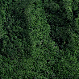 Satellite imagery of PP (Coromandel SD), NZ