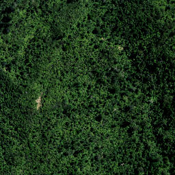 Satellite imagery of PP (Coromandel SD), NZ