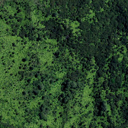 Satellite imagery of NN (Coromandel SD), NZ