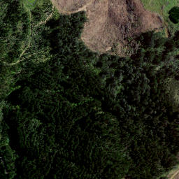 Satellite imagery of F TAHANGA, NZ