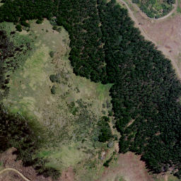 Satellite imagery of F TAHANGA, NZ