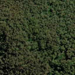 Satellite imagery of Bogong Hill, AU