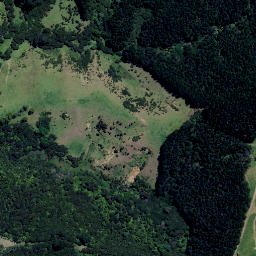 Satellite imagery of Z (Coromandel SD), NZ