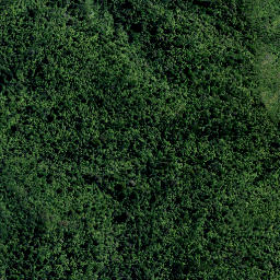 Satellite imagery of TT KAIPAWA, NZ
