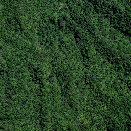 Satellite imagery of TT KAIPAWA, NZ