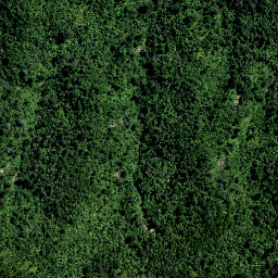 Satellite imagery of PP (Coromandel SD), NZ