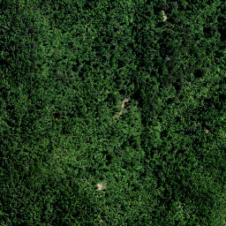 Satellite imagery of PP (Coromandel SD), NZ