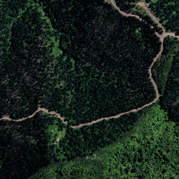Satellite imagery of NN (Coromandel SD), NZ