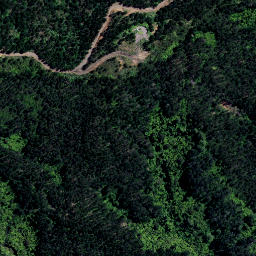 Satellite imagery of NN (Coromandel SD), NZ