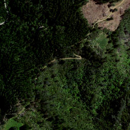 Satellite imagery of Devils Point, NZ