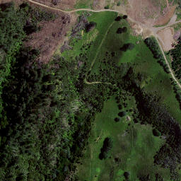 Satellite imagery of Devils Point, NZ