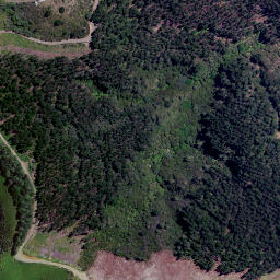 Satellite imagery of Devils Point, NZ