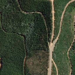 Satellite imagery of Wallaby Hill, AU