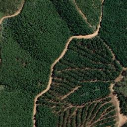 Satellite imagery of Wallaby Hill, AU