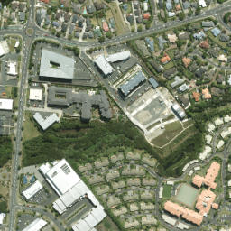 Satellite imagery of 11 NO 2, NZ