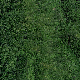 Satellite imagery of TT KAIPAWA, NZ
