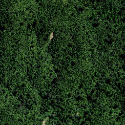 Satellite imagery of PP (Coromandel SD), NZ