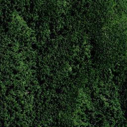 Satellite imagery of PP (Coromandel SD), NZ