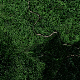Satellite imagery of PP (Coromandel SD), NZ
