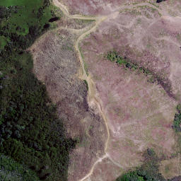 Satellite imagery of Devils Point, NZ