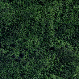 Satellite imagery of TT KAIPAWA, NZ