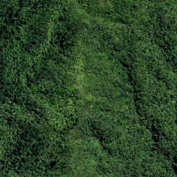 Satellite imagery of TT KAIPAWA, NZ