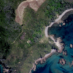 Satellite imagery of Devils Point, NZ