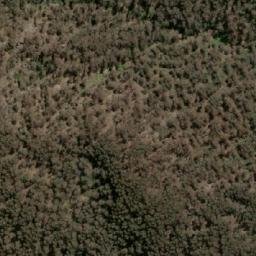 Satellite imagery of Lyrebird Hill, AU
