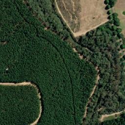 Satellite imagery of White Star Mine, AU