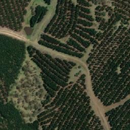 Satellite imagery of Bald Hills, AU